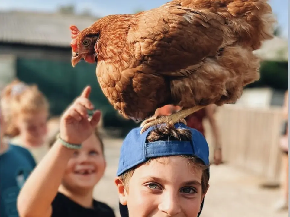 Een lachende jongen met een kip op zijn pet