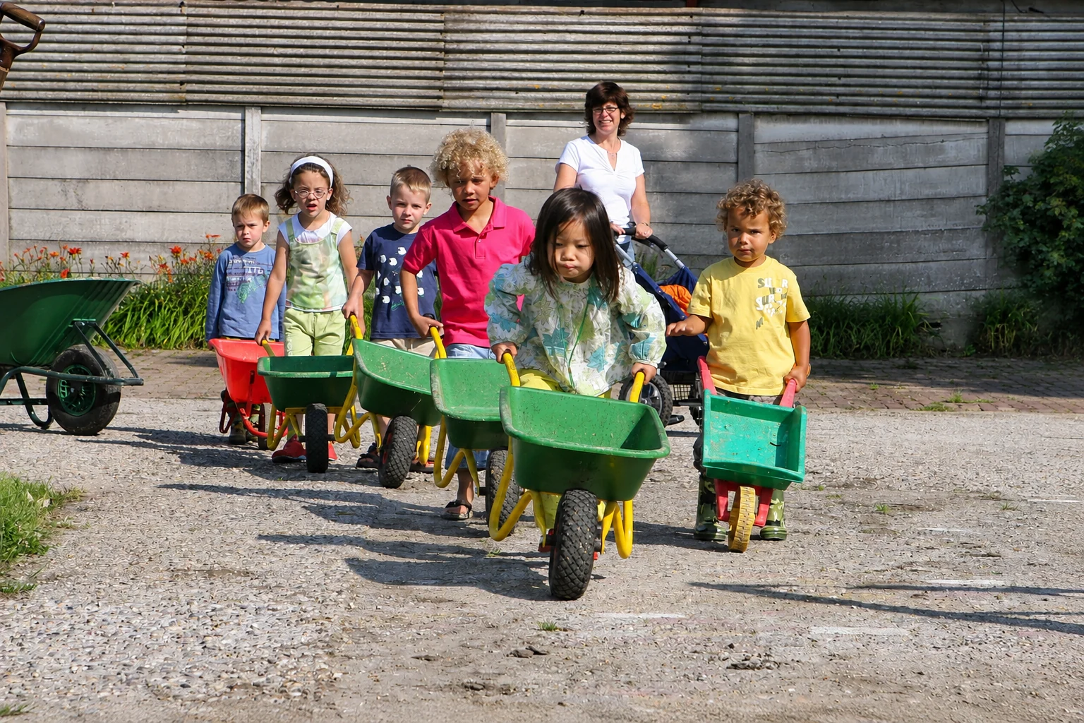 Kinderen lopen met kruiwagens samen over de boerderij