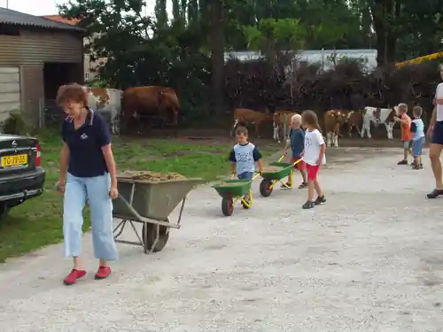 Familiearchief: kinderen met kruiwagens op het erf met runderen op de achtergrond