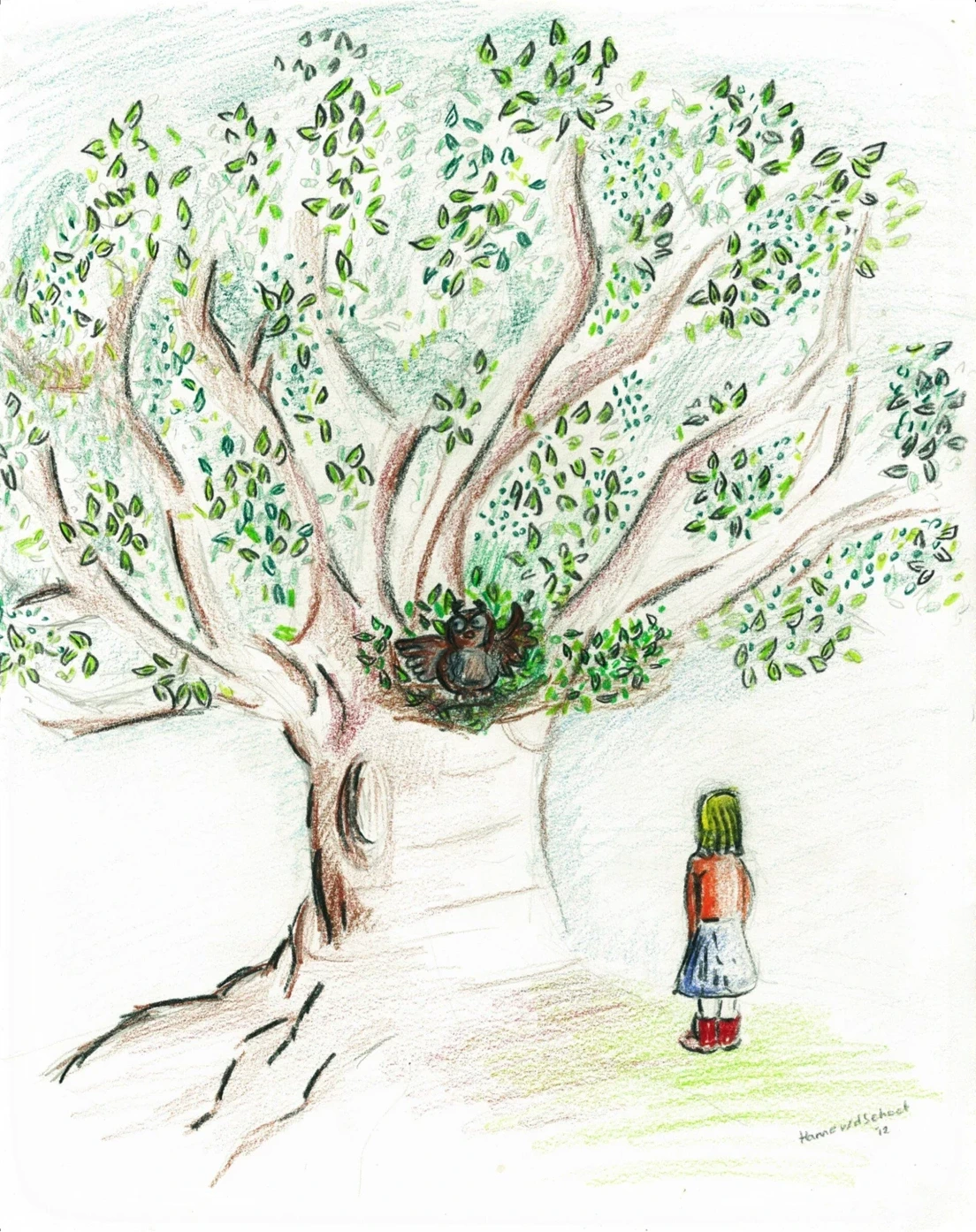 Hannes tekening van de oude eik