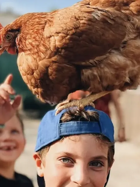 Een lachende jongen met een kip op zijn pet