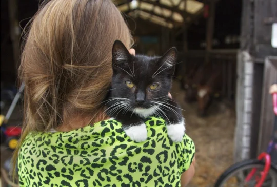 Een poes op je schouder