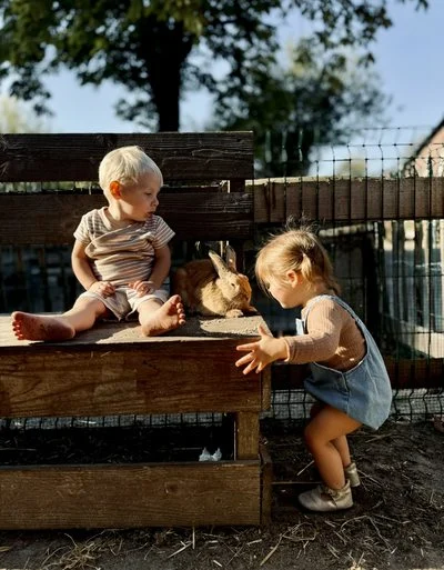 Twee jonge kinderen ontmoeten een konijn op de boerderij