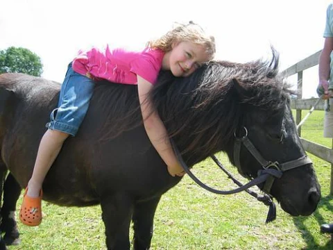 paard met kind