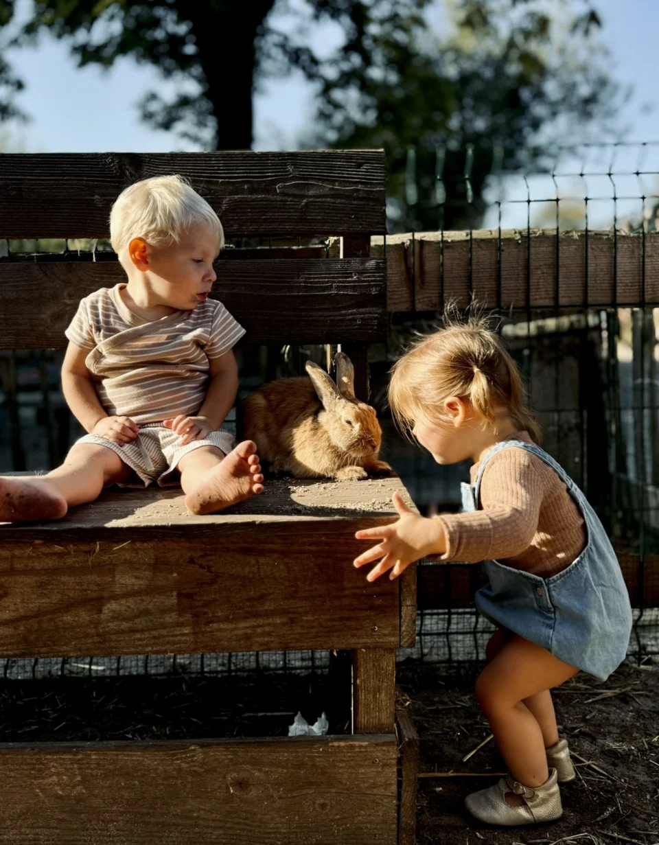 kindjes bij konijnen