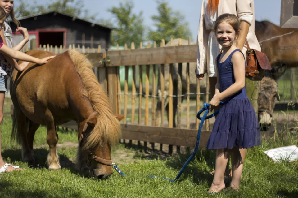 pony met hande
