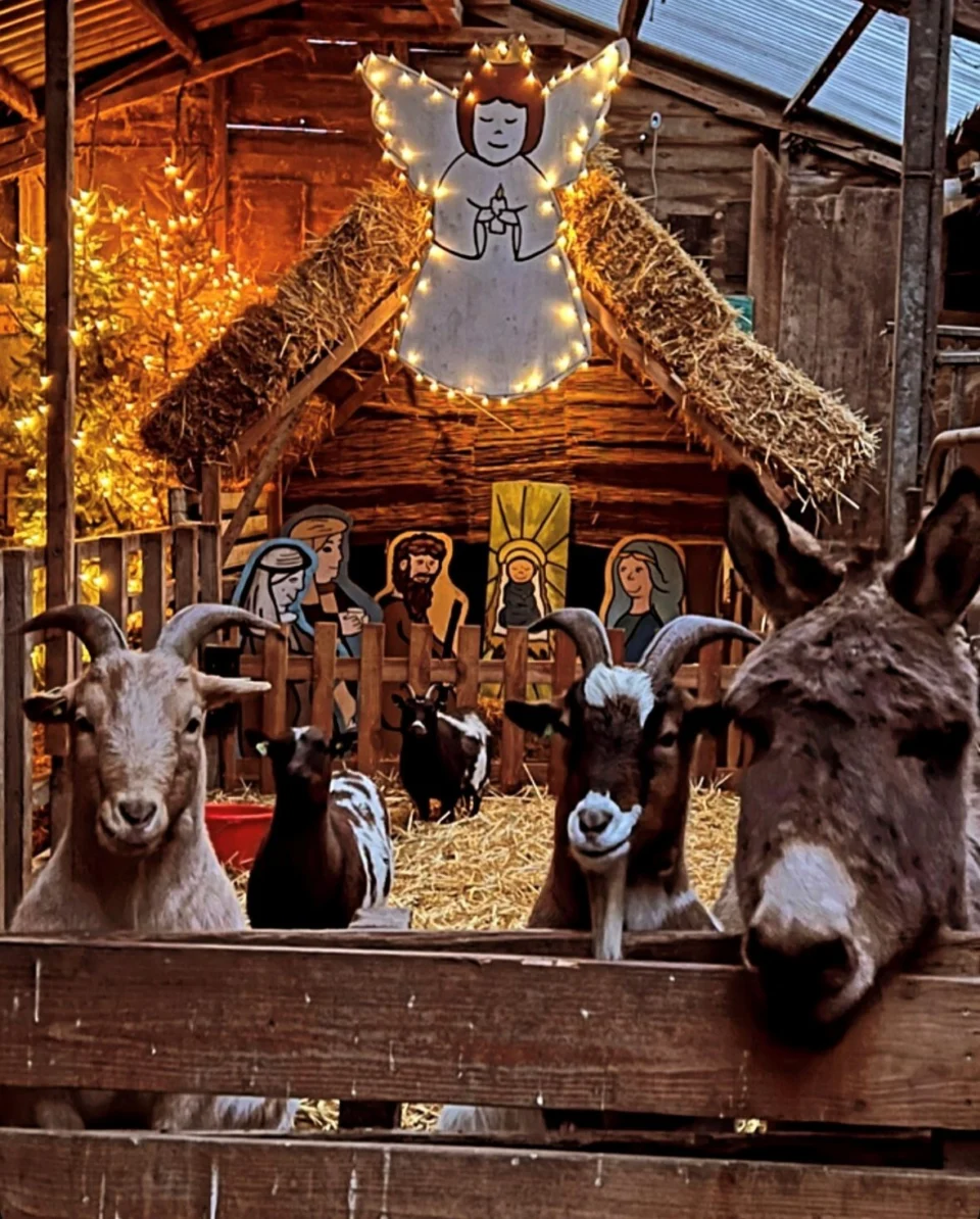 kerststal