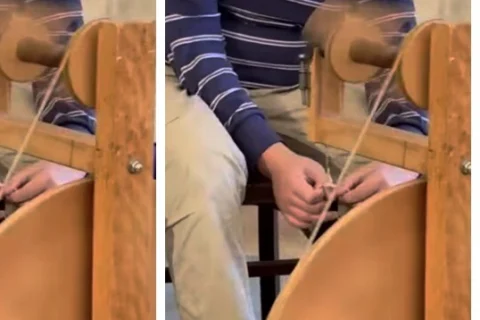wol spinnen