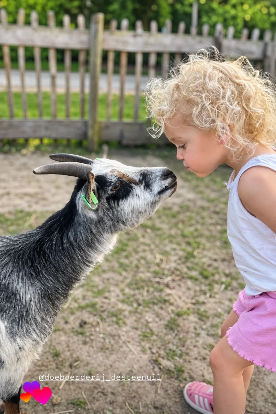 Beleef onze dieren.